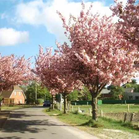 Captain Baack * Nieblum